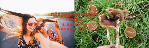 мдма Пролетарск