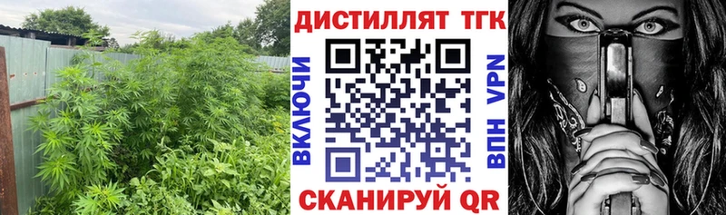 сайты даркнета официальный сайт  Павловская  Дистиллят ТГК концентрат 