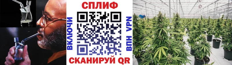 продажа наркотиков  Павловская  дарк нет телеграм  Конопля индика 